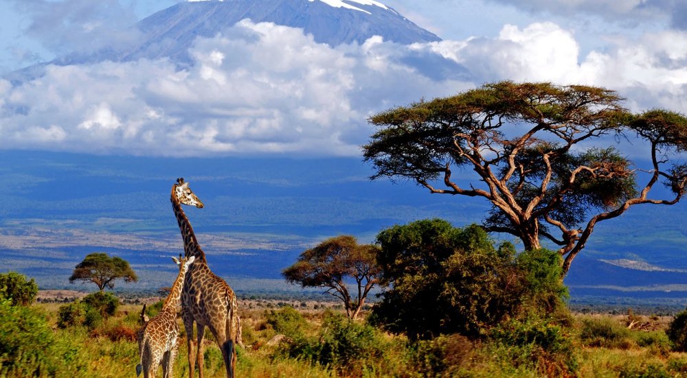 Freewallker-Kilimanjaro-expedition-2